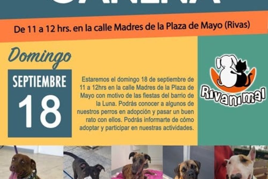 Evento-Adopción-Rivanimal