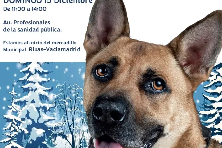 Jornada de Adopción Canina en Rivas este 15 de diciembre