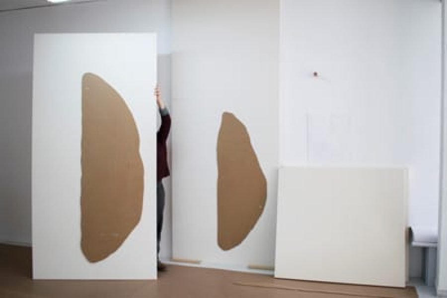 Fuentesal&Arenillas_cubiertabrillantemargendelgado