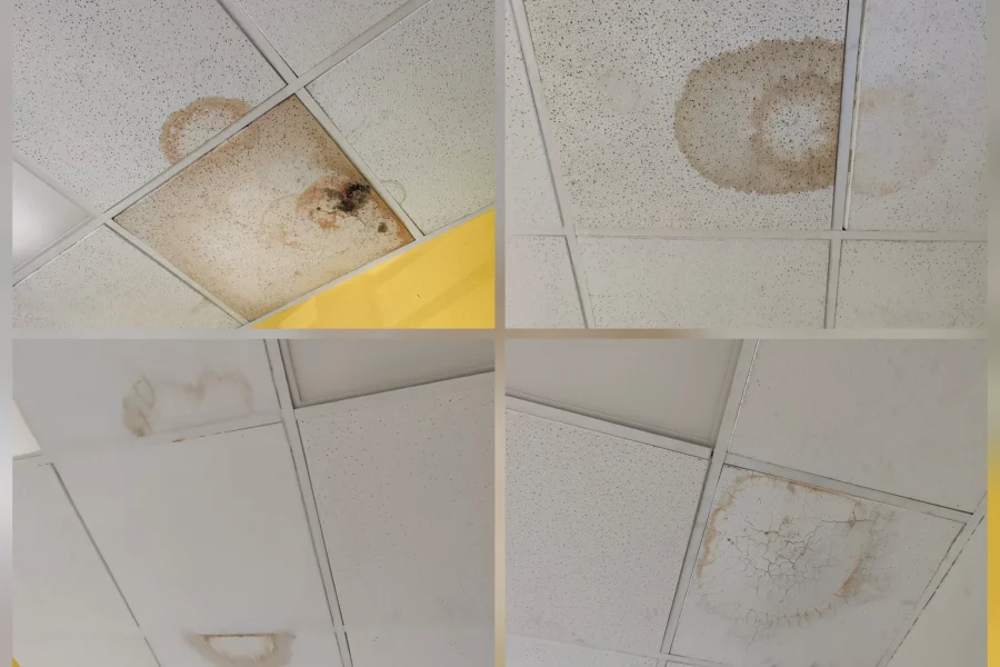 Rivas con la Sanida Pública denuncia humedades