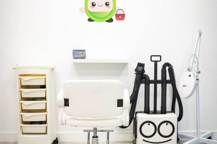 Las máquinas de "Ojo al Piojo" listas para quitar liendres.