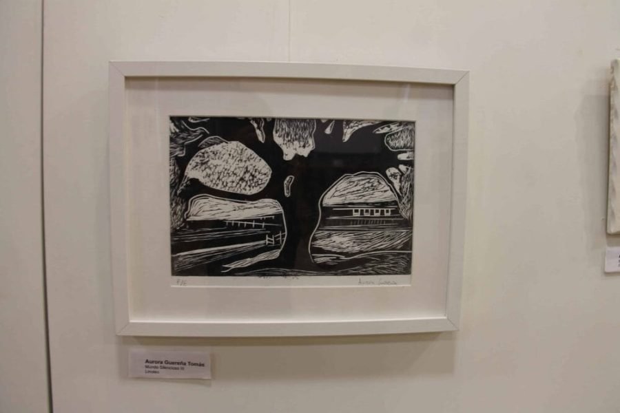 Exposición de Grabados en Covibar