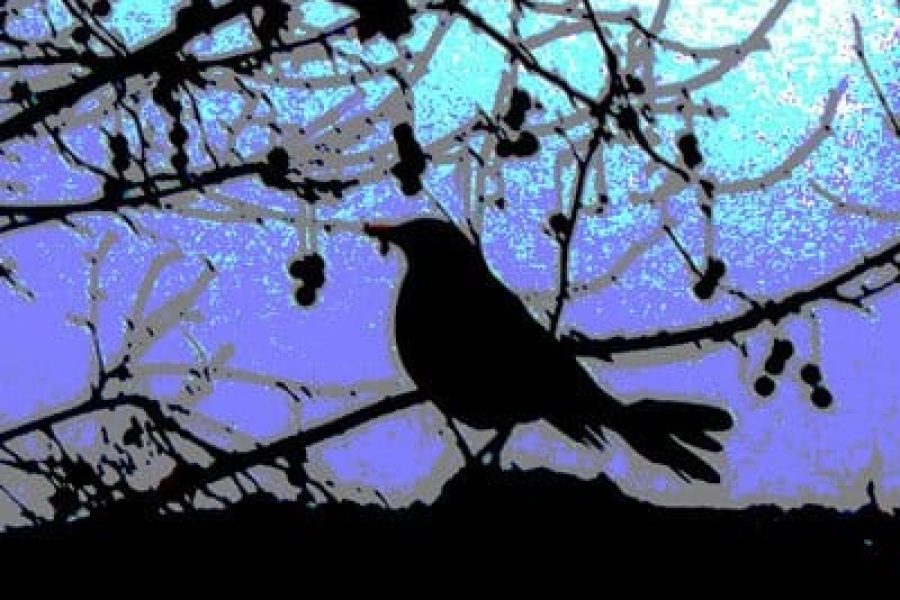 Imagen-La-sangre-hierve-Capítulo-29