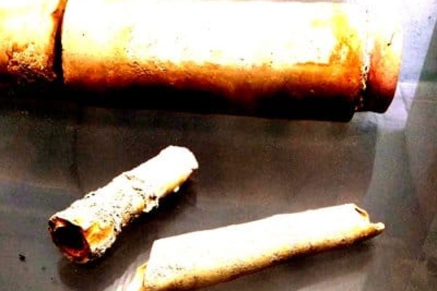 Imagen-La-sangre-hierve-Capítulo-45