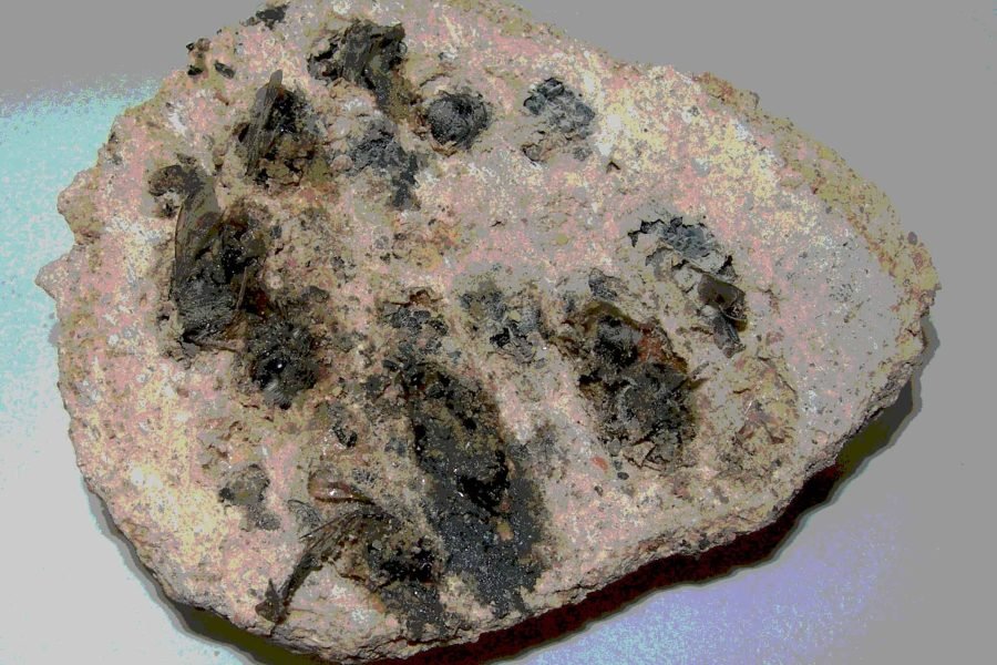 Imagen La Sangre Hierve Capítulo 50 (1)