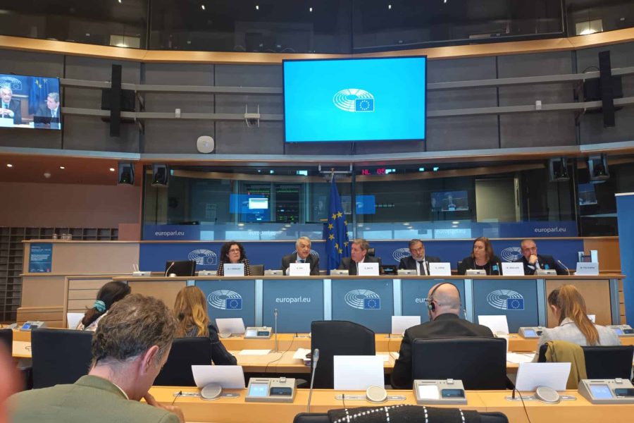 Intervención de Eulogio Paz en el Parlamento Europeo, en representación de la Asociación de Víctimas del 11M