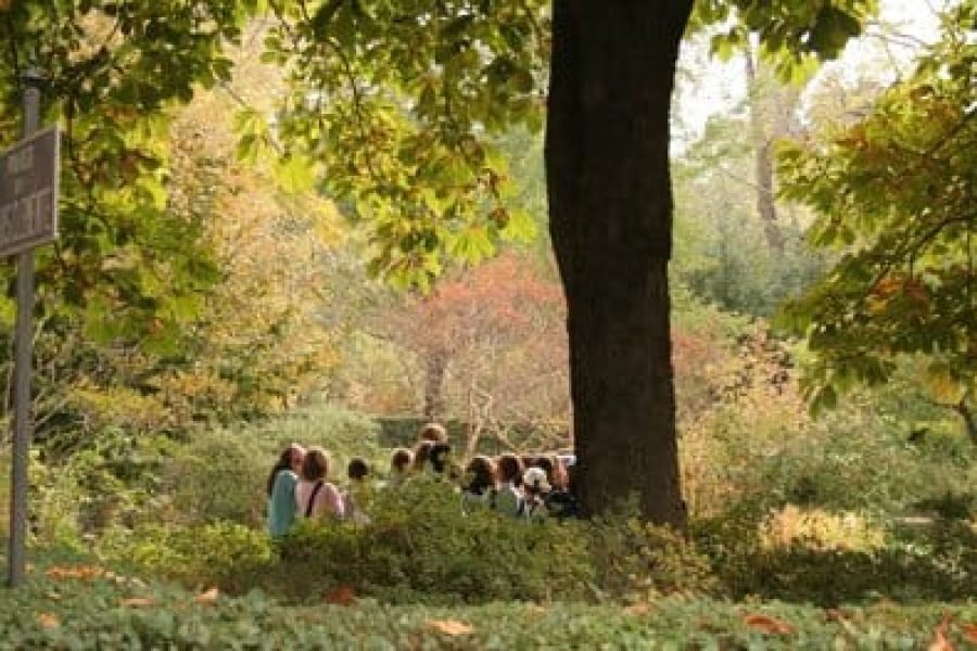 Jardín-Botánico-(1)