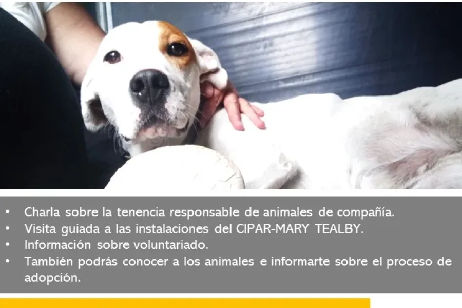 El CIPAR abre sus puertas