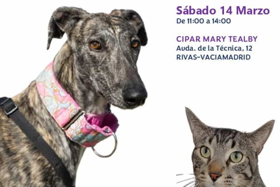 Jornada adopción 14 marzo 2026 (1) (1)