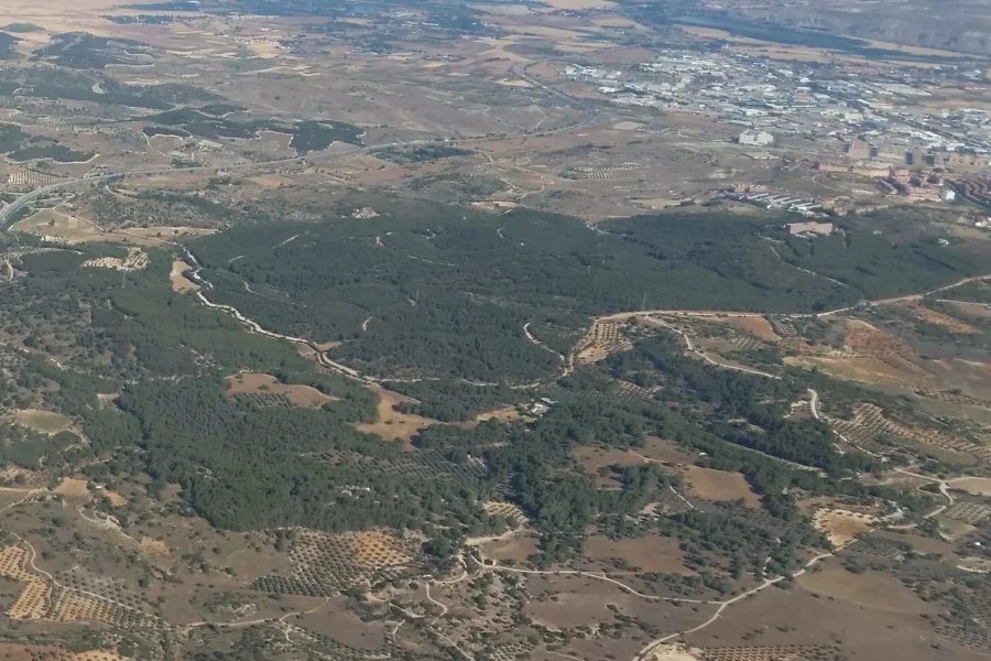 Ruta de Ecologistas en Acción de Arganda por la Dehesa del Carrascal