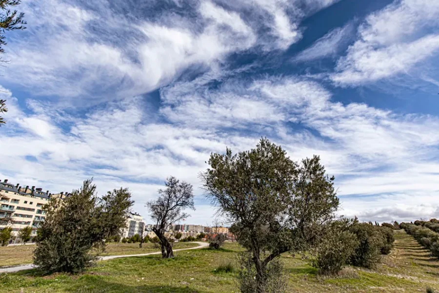 Arranca el proyecto Renatura Rivas