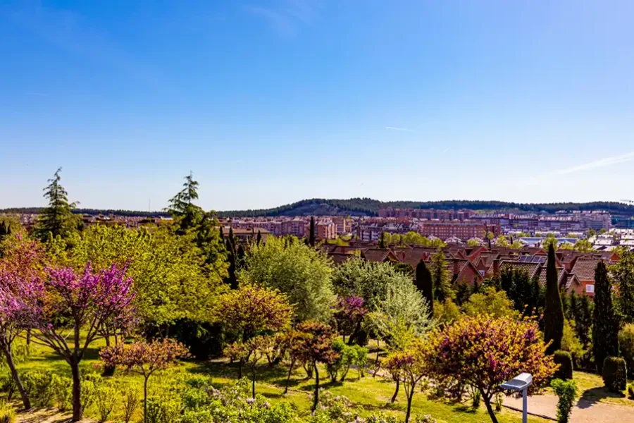 Rivas, entre las ciudades españolas con menor desigualdad