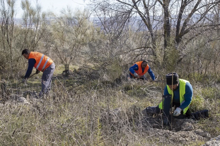 Reforestacion-Mazalmadrit-mar-2025