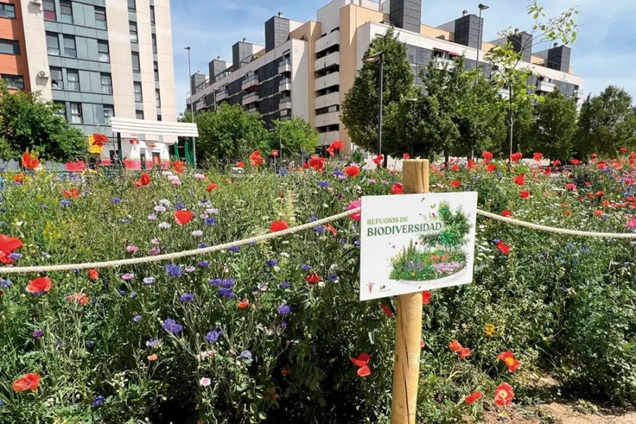 Biodiversidad en Rivas: 3 primeros refugios