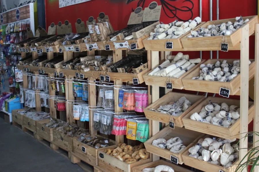 Rivas mascotas: Un paraíso para perros y gatos