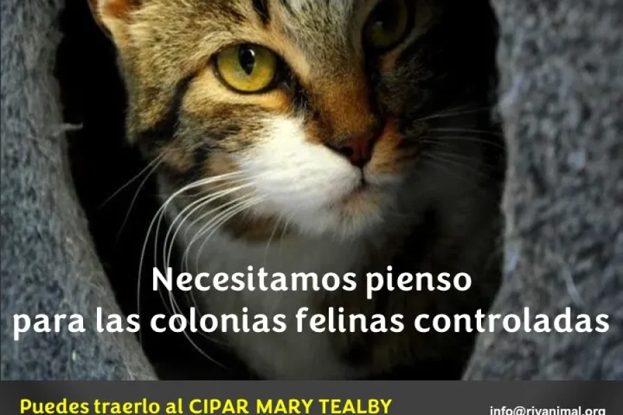 Rivanimal inicia una campaña de recogida de pienso