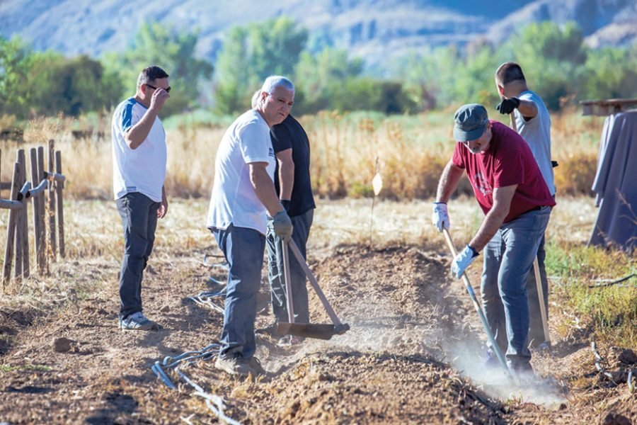 Cuatro personas trabajan la tierra con azadas en el parque agroecológico Soto del Grillo