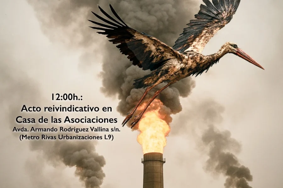 Marcha de Rivas 8 de junio