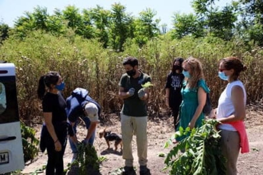 Vanessa+SEO-Birdlife