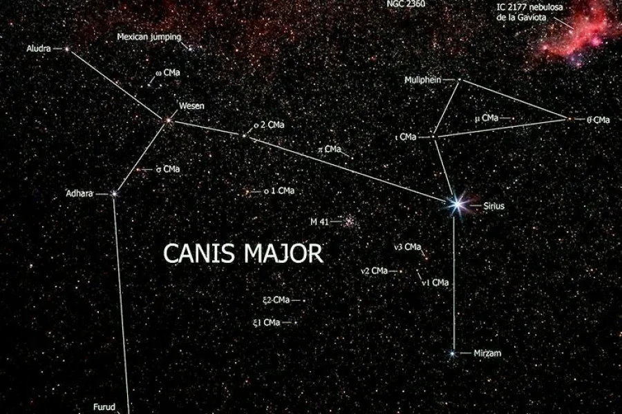 El “Can Mayor”, el perro fiel de Orión (II)