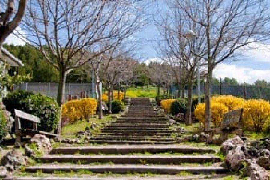 Propuestas rechazadas de los presupuestos participativos de Rivas