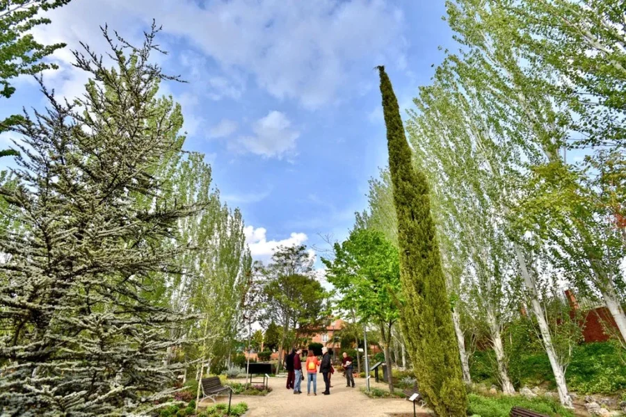 Rivas repite como "Tree city of the world"