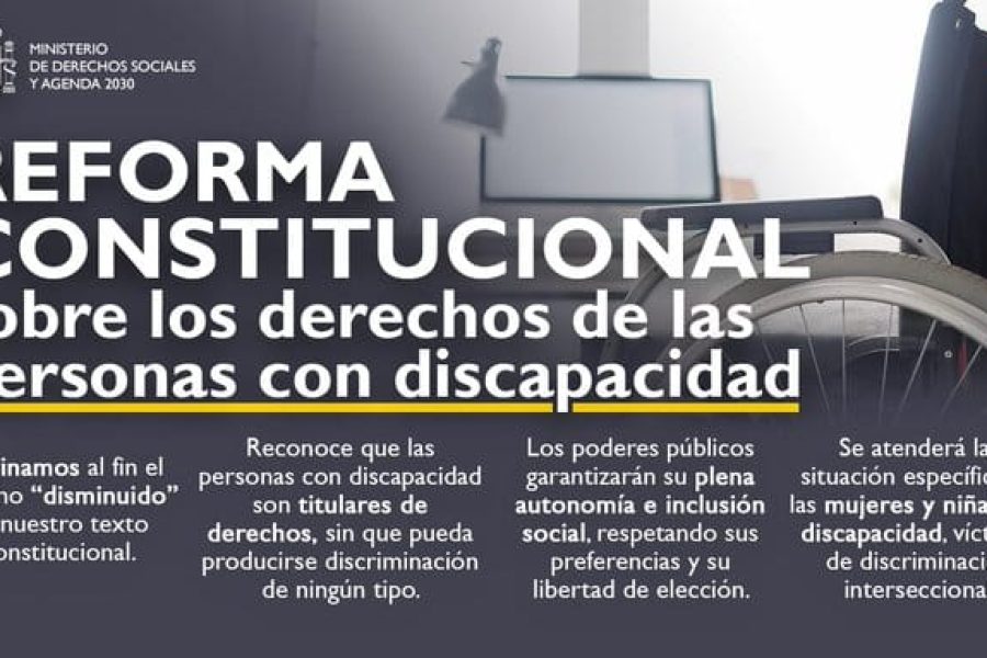 Artículo 49 Discapacidad (2)