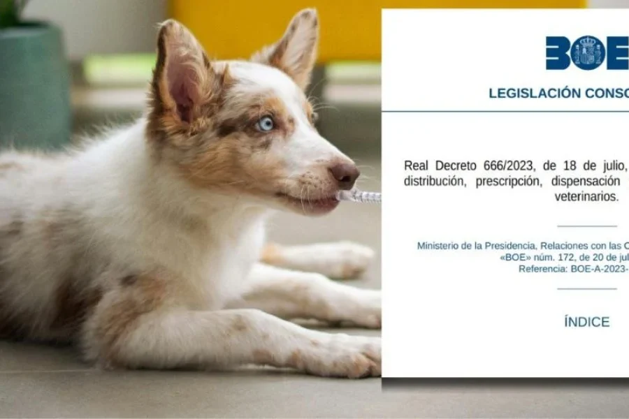 bulo antibióticos veterinaria