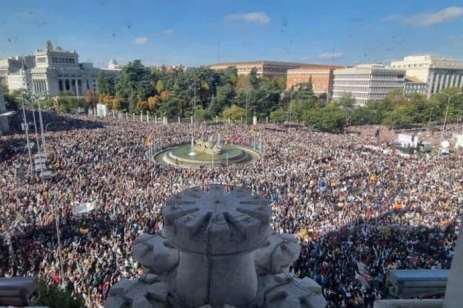Vista general de la manifestación