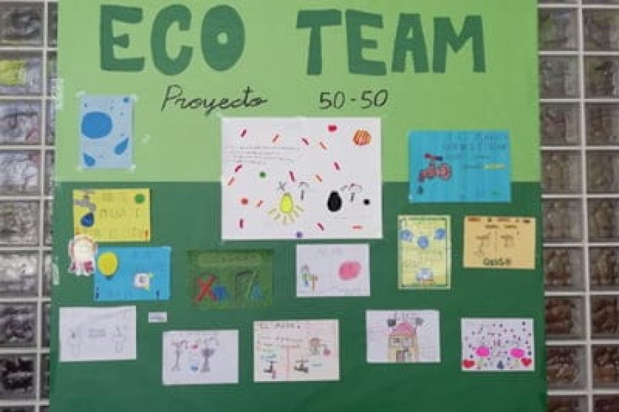 proyecto 50/50