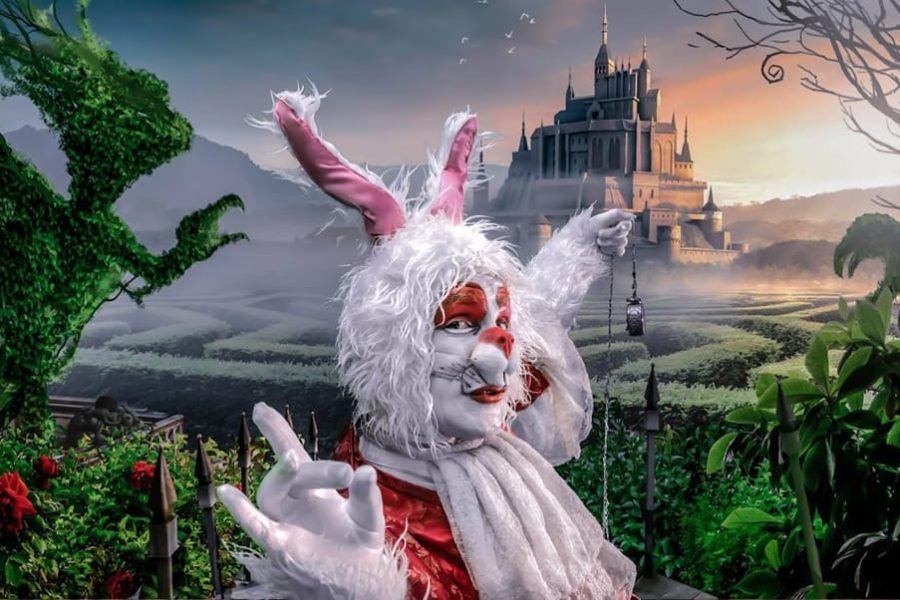 Alicia en el país de las maravillas'