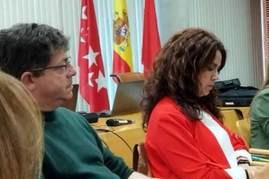Aída Castillejo interviene en el Consejo de Ciudad junto a Mónica Carazo y Alberto Cabezas