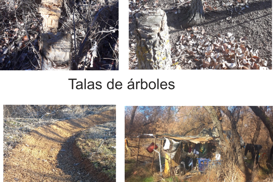 soto de aldovea en peligro