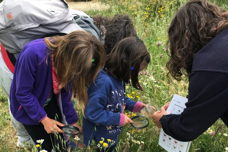 Dos niñas observan el suelo con lupas y una ficha de identificación durante una actividad de educación ambiental