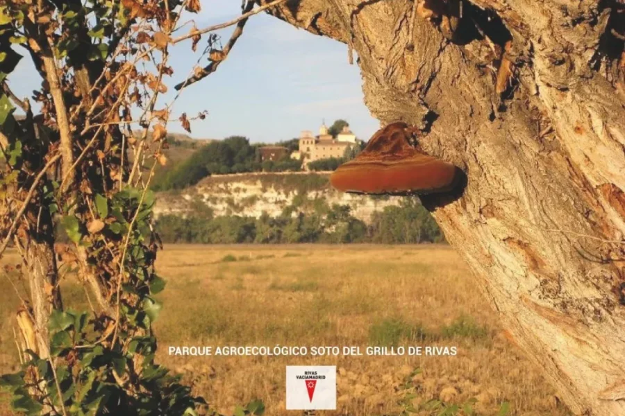 Soto del Grillo abre sus huertas