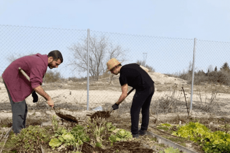 Huertas Las Antonias | Foto @huerta_lasantonias