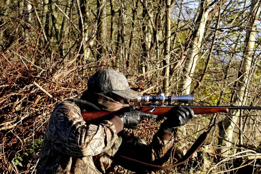 Un cazador con ropa de camuflaje y guantes apunta con un rifle con visor en una zona boscosa con las ramas desnudas y la luz del sol filtrándose entre los árboles, captando la esencia de la caza, aunque no transcurra en Arganda.