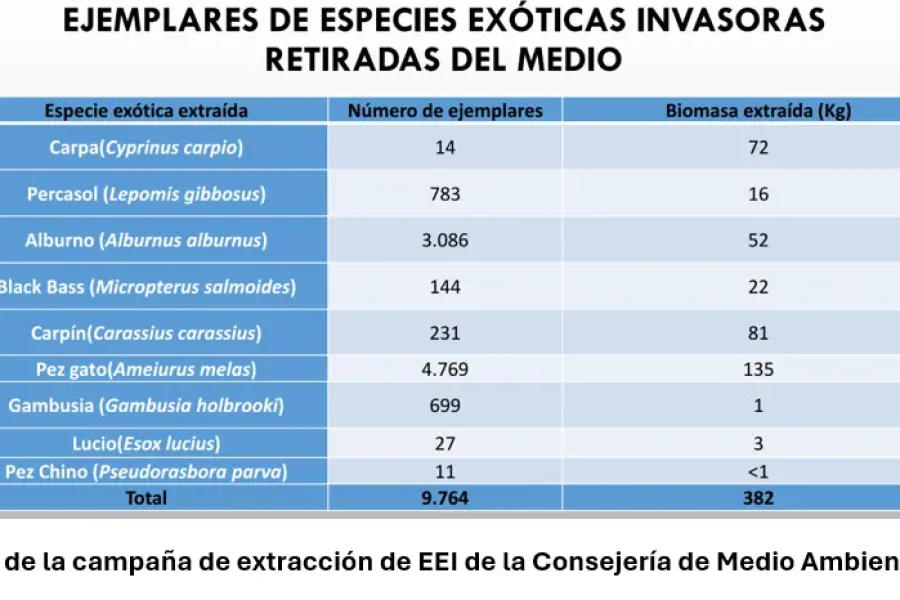 Tabla en la que se enumeran las especies de peces exóticos invasores capturadas, el número de ejemplares y la biomasa (kg). Entre las especies se incluyen el carpal, el percasol, el alburno, el black bass, el carassius, la gambusia, el lucio y el pez chino. Esta información se recopiló mediante un borrador automático para mejorar la precisión de los datos.