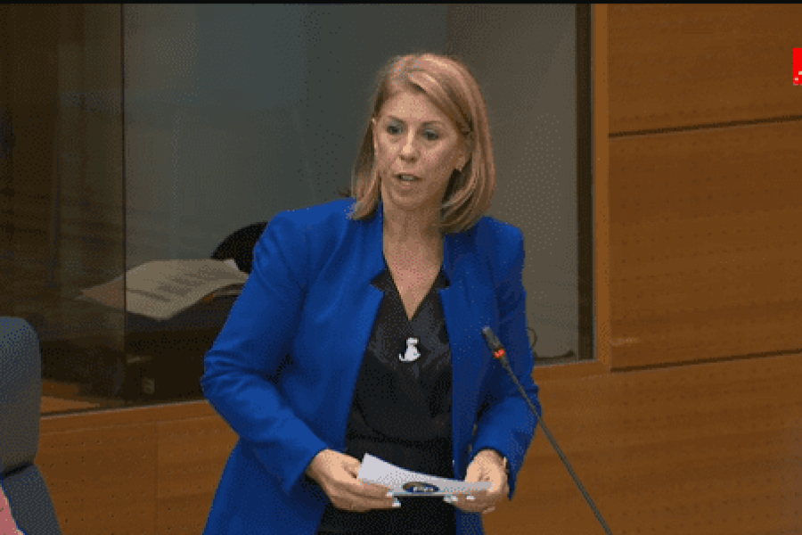 Janette Novo durante la pregunta parlamentaria