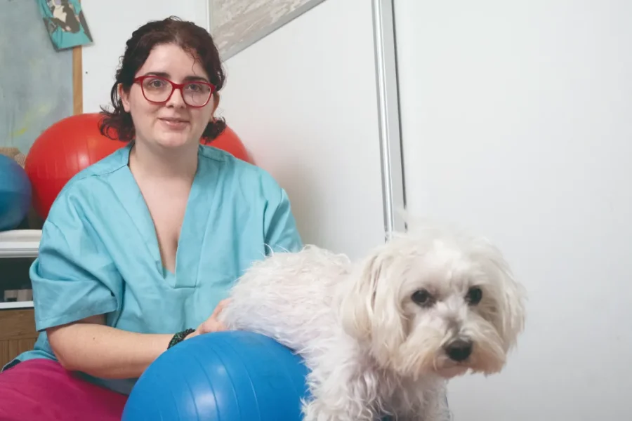 Laservet: rehabilitación veterinaria a domicilio