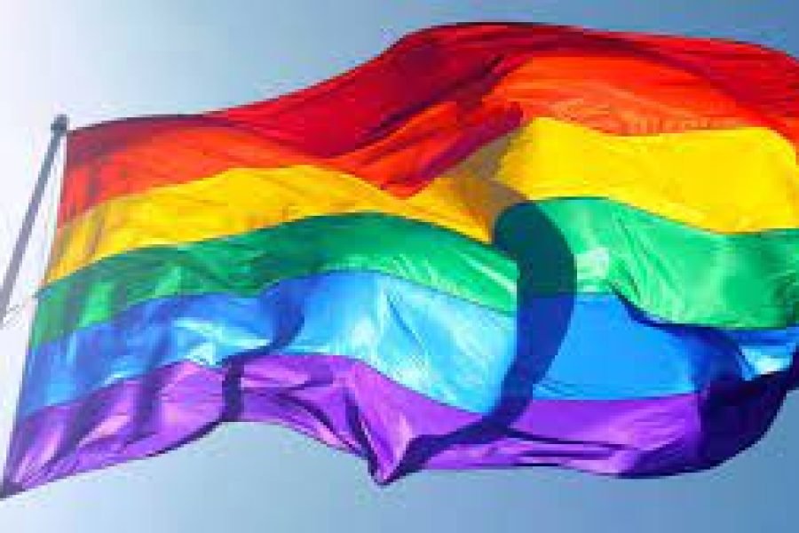 Orgullo LGTBI de Rivas