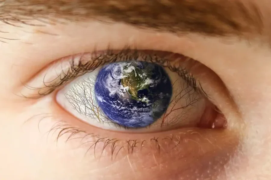 Mirada ecologista de Ecologistas en Acción.