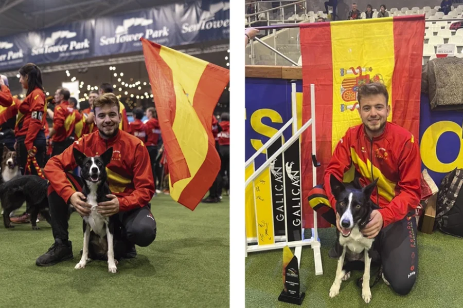 madrid-agility