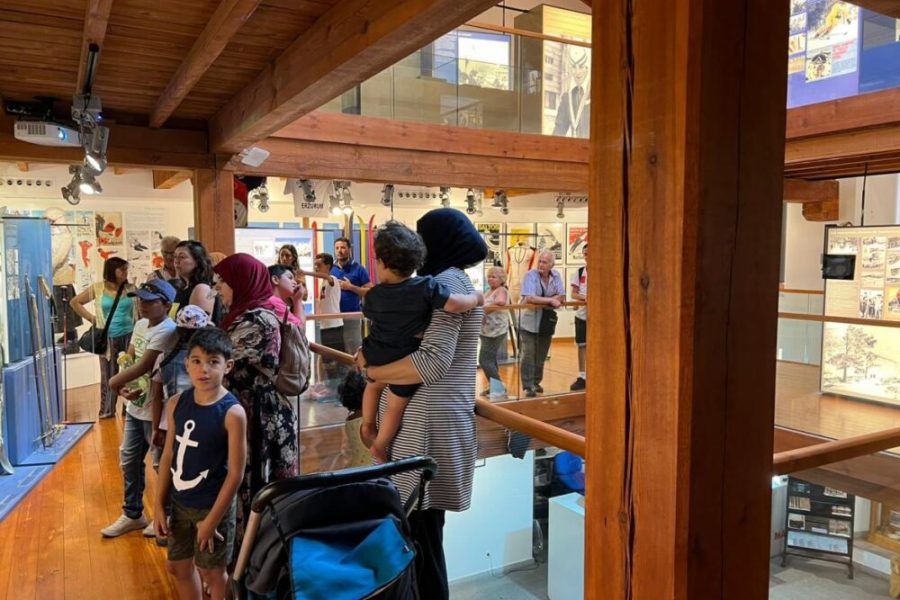 Excursión a Cercedilla desde la Cañada Real