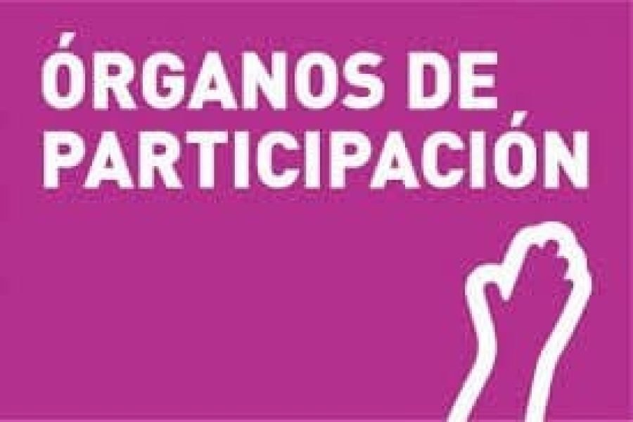 participación