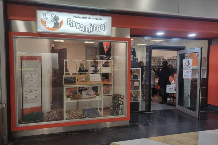 photo_2022-11-11_21-15-05