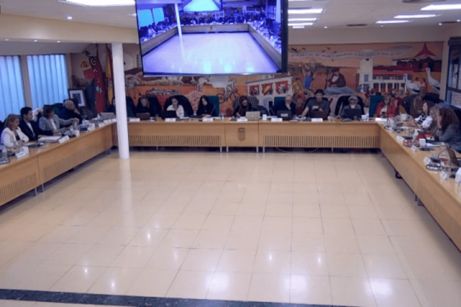 Pleno Diciembre 2022 1