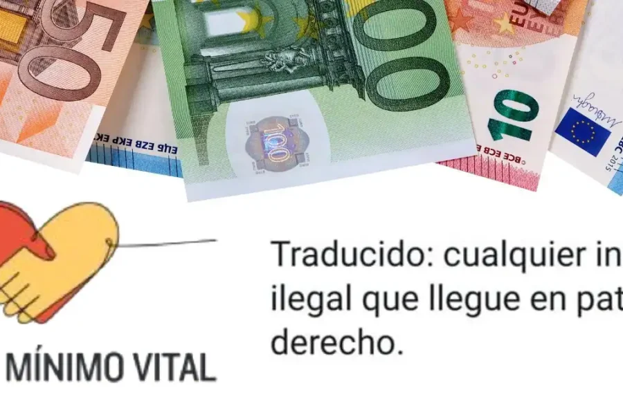 Un gráfico muestra billetes de euro, un corazón con una costura, el texto Ingreso Mínimo Vital y un mensaje sobre la inmigración que difunde bulos sobre las prestaciones a los inmigrantes ilegales.