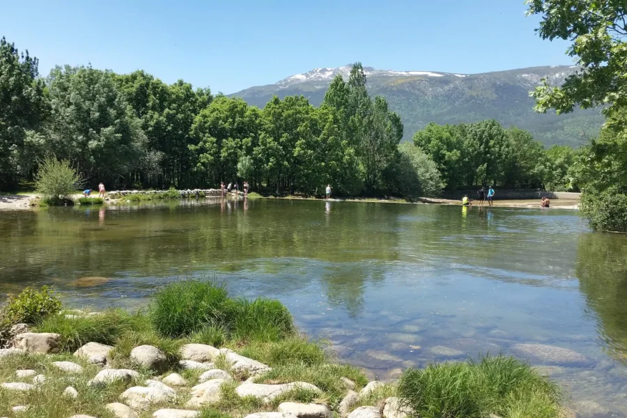 Un río poco profundo de aguas cristalinas discurre por una zona verde y arbolada de la Comunidad de Madrid. Las rocas bordean la orilla y hay algunas personas chapoteando en el agua, disfrutando de una de las zonas naturales de baño controladas de la región. Las montañas se divisan a lo lejos bajo un cielo azul y despejado.