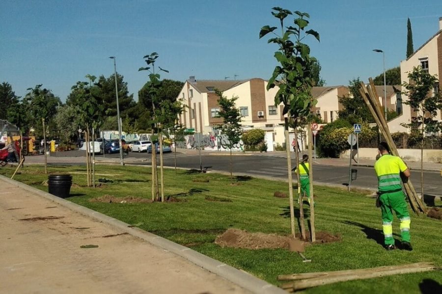 presupuestos participativos